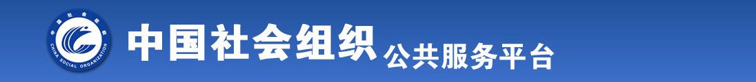 插逼逼逼视频全国社会组织信息查询